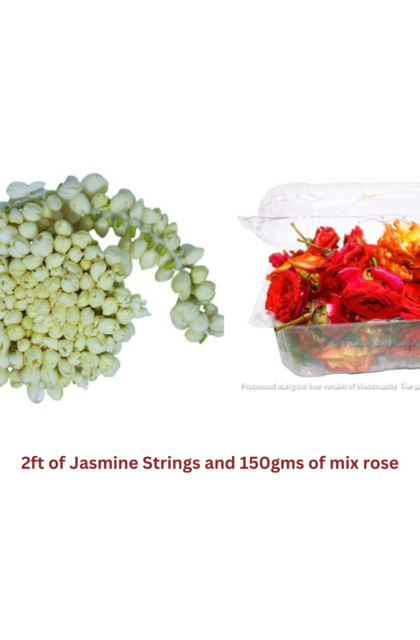 Jasmine strings Combo – Elite Pack